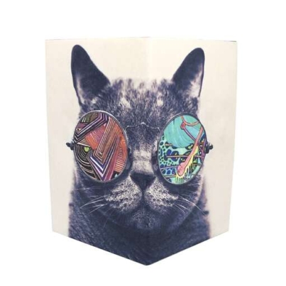 PSYCHEDELICAT
