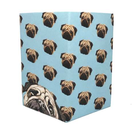 PUGS